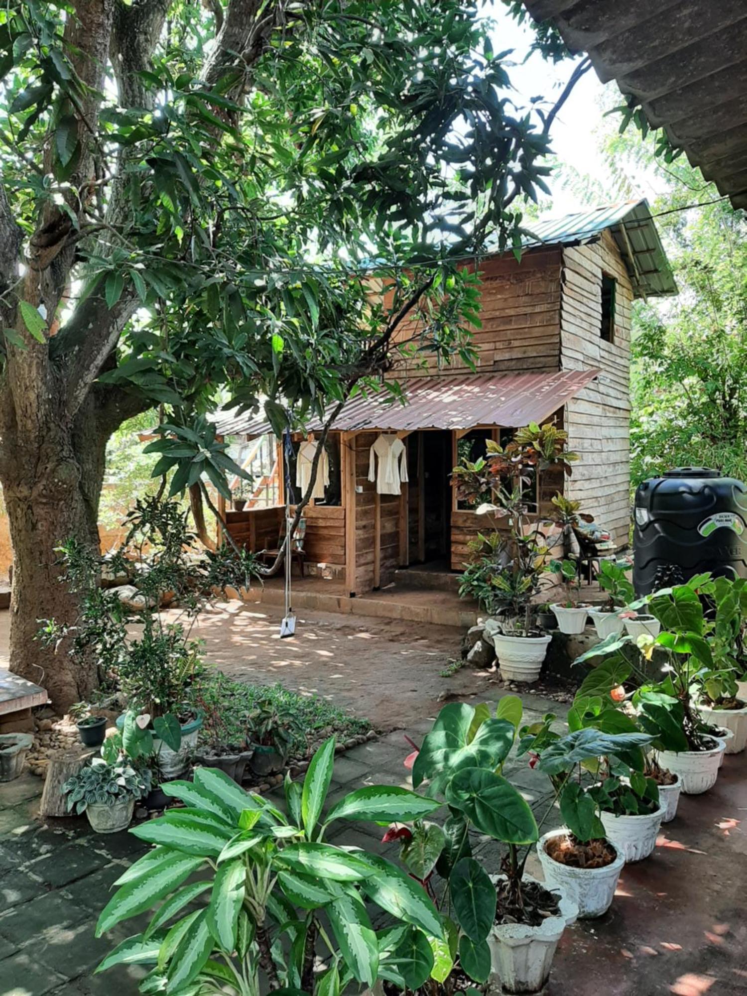 Serenity House In Dambulla Exterior photo