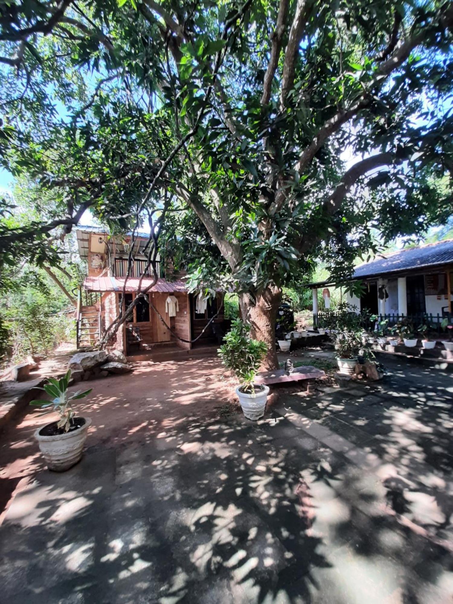 Serenity House In Dambulla Exterior photo